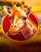 Lucky Safari Hold And Win