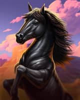 Mustang and Stallions