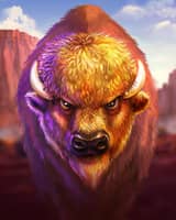 Big Buffalo