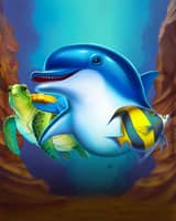 Dolphin's Wealth Hold And Win