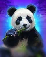 Luck of Panda Bonus Combo