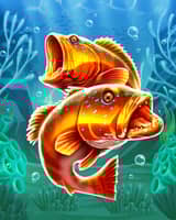 Wild Fish Bonanza