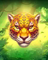 Wild Pounce