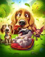 Yappy Scrappy