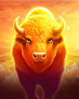 Ascent Charge Buffalo
