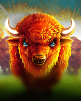 Charge Buffalo