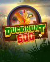 Duck Hunt 500