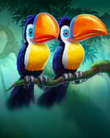 Jungle 2