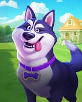 Lucky Doggy