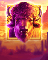 Wild West Buffalo Blast