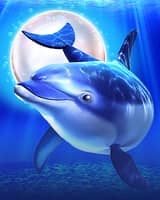 Cash Connection Dolphin's Pearl