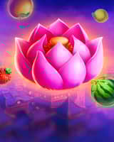 Lotus Fortune